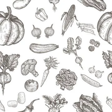 Seamless pattern of natural vegetables. Vector hand drawing. Stock Illustration