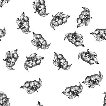Seamless pattern nature chokeberry aronia sketch hand drawn Stock Illustration