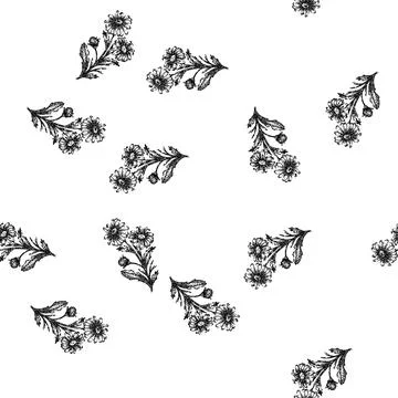 Seamless pattern nature daisy flower sketch hand drawn Stock Illustration