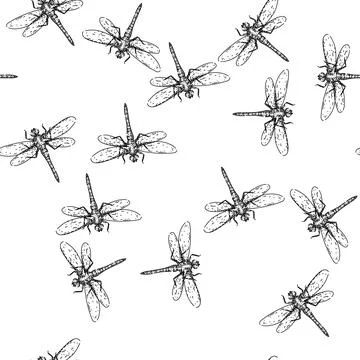 Seamless pattern nature dragonfly sketch hand drawn Illustrazione stock