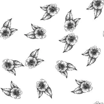 Seamless pattern nature evening primrose sketch hand drawn Stock Illustration