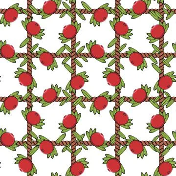 Seamless pattern, net of the cord with cranberries, lingonberries. Stock Illustration
