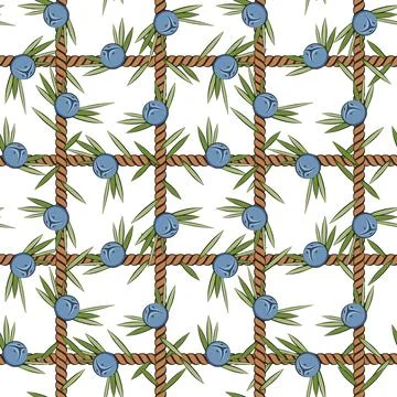 Seamless pattern, net of the cord with juniper. Stock Illustration
