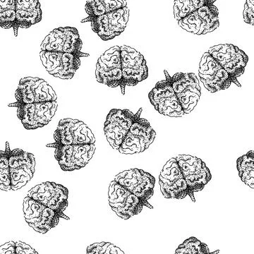 Seamless pattern neuroplasticity brain sketch hand drawn Ilustración de archivo