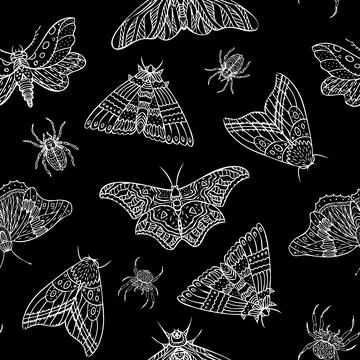 Seamless pattern of night butterflies and spiders. Hand drawn illustration Stock Illustration