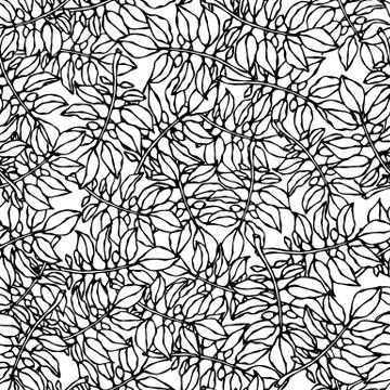 Seamless Pattern of Nightshade Plants Tomato or Potato Leaves. Botanical Gard Stock Illustration