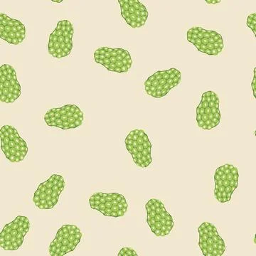 Seamless pattern noni fruit illustrating healthy food and organic nutrition Stock Illustration