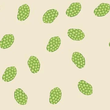 Seamless pattern noni fruit revealing its textured green surface Stock Illustration