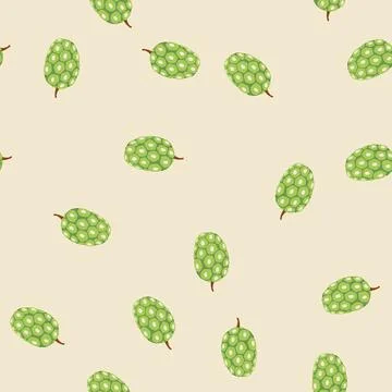Seamless pattern noni fruit vector, tropical superfood concept Stock Illustration