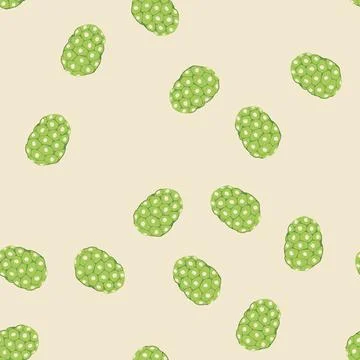 Seamless pattern noni fruit vector representing tropical superfood Stock Illustration