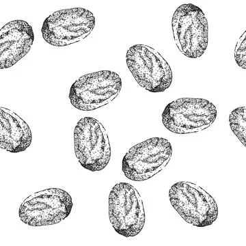 Seamless pattern nut nutmeg spice sketch hand drawn Stock Illustration