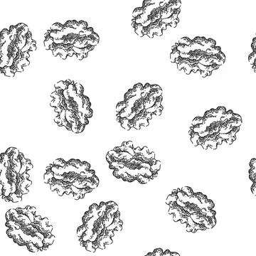 Seamless pattern nut walnut sketch hand drawn イラスト素材