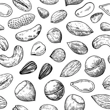 Seamless pattern with nuts and seeds. Sketch drawing in engraving style. Ve.. Illustrazione stock