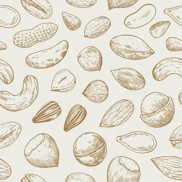 Seamless pattern with nuts and seeds. Sketch drawing in engraving style. Ve.. Illustrazione stock