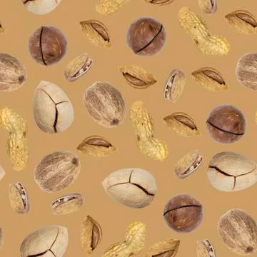 Seamless pattern. Nuts on a on the background of the color of nut paste. Foto stock