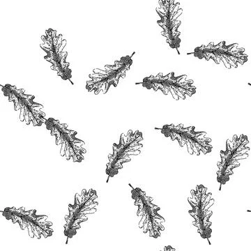 Seamless pattern oak autumn leaf sketch hand drawn Stockillustratie
