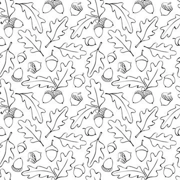 Seamless pattern with oak leaves, acorns. Vector autumn texture isolated, han Stock Illustration