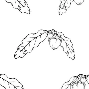 Seamless pattern of oak leaves and acorns. Vector of a seamless pattern of an Stock Illustration