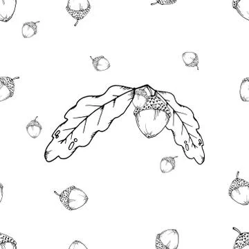 Seamless pattern of oak leaves and acorns. Vector of a seamless pattern of an Stock Illustration