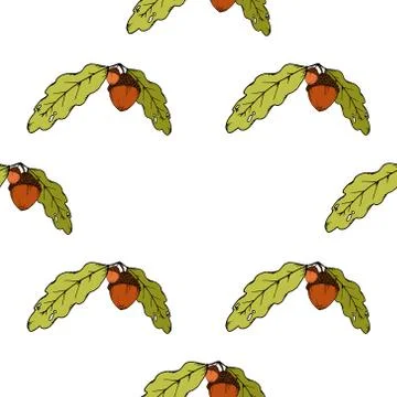 Seamless pattern of oak leaves and acorns. Vector of a seamless pattern of an 스톡 일러스트