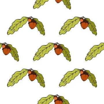 Seamless pattern of oak leaves and acorns. Vector of a seamless pattern of an Stock Illustration
