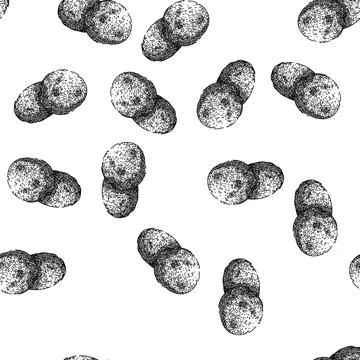 Seamless pattern oatmeal oat cookies sketch hand drawn Stock Illustration