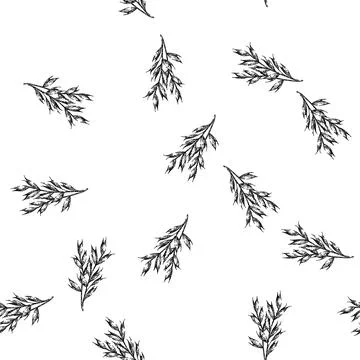 Seamless pattern oatmeal oat plant sketch hand drawn Stock Illustration