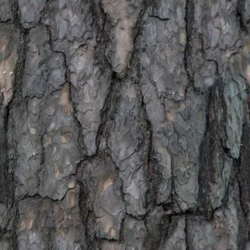 Seamless pattern of old tree barque Stock Photos