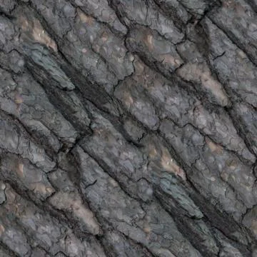 Seamless pattern of old tree barque Stock Photos