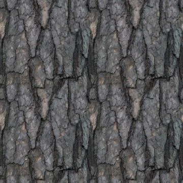 Seamless pattern of old tree barque Stock Photos