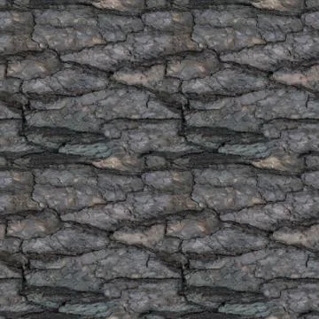 Seamless pattern of old tree barque Stock Photos