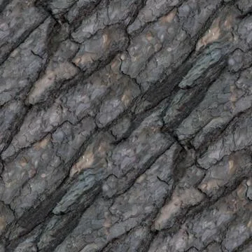 Seamless pattern of old tree barque Stock Photos