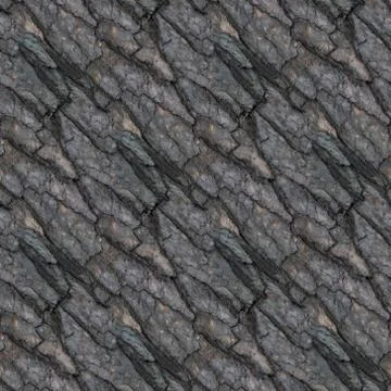 Seamless pattern of old tree barque Stock Photos