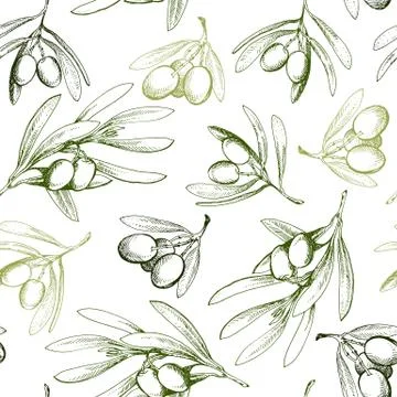 Seamless pattern with olive branch. Drawn by hand Stock Illustration