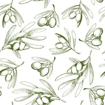 Seamless pattern with olive branch. Drawn by hand Stock Illustration