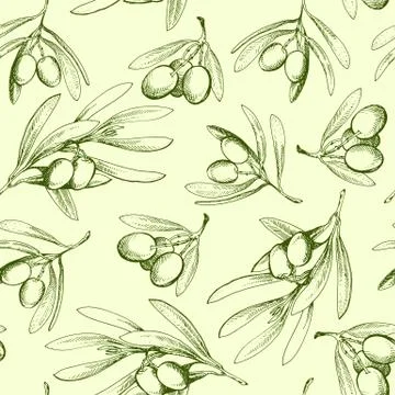 Seamless pattern with olive branch. Drawn by hand Stock Illustration