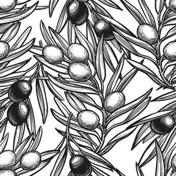 Seamless pattern with olive branch Illustrazione stock