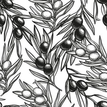 Seamless pattern with olive branch Illustrazione stock