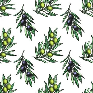 Seamless pattern with olive branch Illustrazione stock