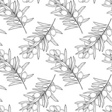 Seamless pattern of olive branches Botanical engraving texture Minimalistic Stock Illustration