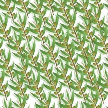 Seamless pattern with olive trees vector - green floral pattern Stockillustratie