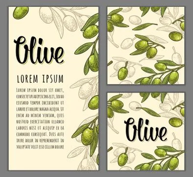 Seamless pattern olives on branch with leaves. Stock Illustration