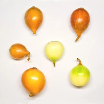 Seamless pattern with onion. Abstract background. Onion on the white backgrou Stock Photos