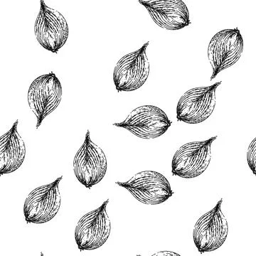 Seamless pattern onion white sketch hand drawn illustration Stock Illustration