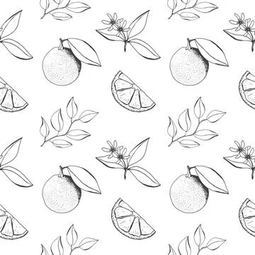 Seamless pattern with orange and orange slice, blossom Stock Illustration