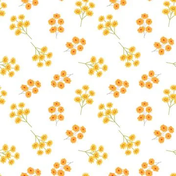Seamless pattern of orange and yellow wildflowers on white background Stock Illustration