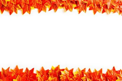 Seamless pattern of orange and yellow Autumn maple leaves on white background Stock Photos