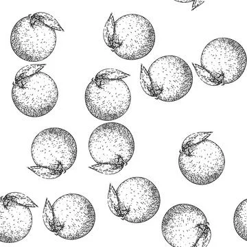 Seamless pattern orange citrus sketch hand drawn illustration Stock Illustration
