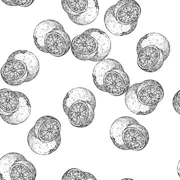 Seamless pattern orange cut sketch hand drawn illustration Stockillustratie