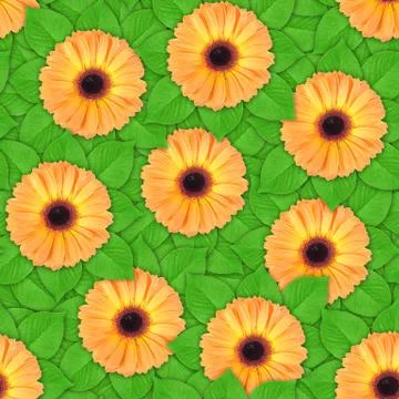 Seamless pattern of orange flowers and leaf Stock Photos